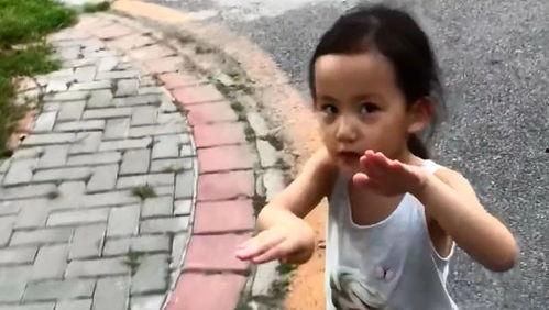 黄磊妹妹爆料了吗视频播放,揭秘娱乐圈背后真相  第3张